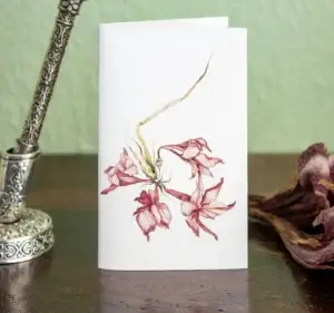 Faded Flowers [card]