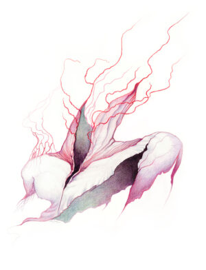 Tendrils I [limited edition print]