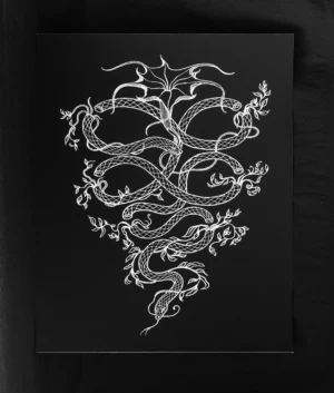 Amphisbaena and Datura