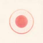 Orb