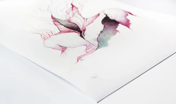Tendrils I [limited edition print] - Image 6