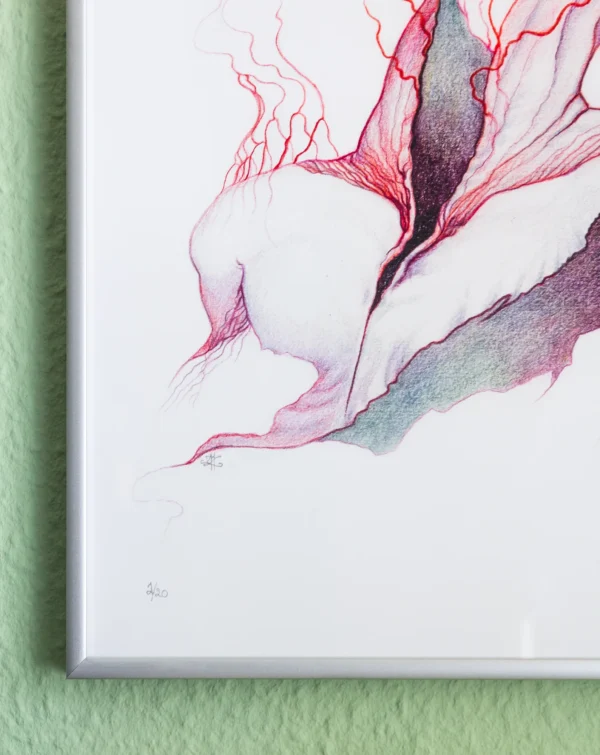 Tendrils I [limited edition print] - Image 8